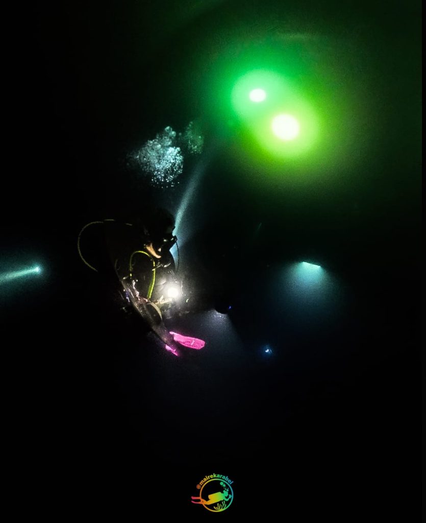 blackwater dive in anilao